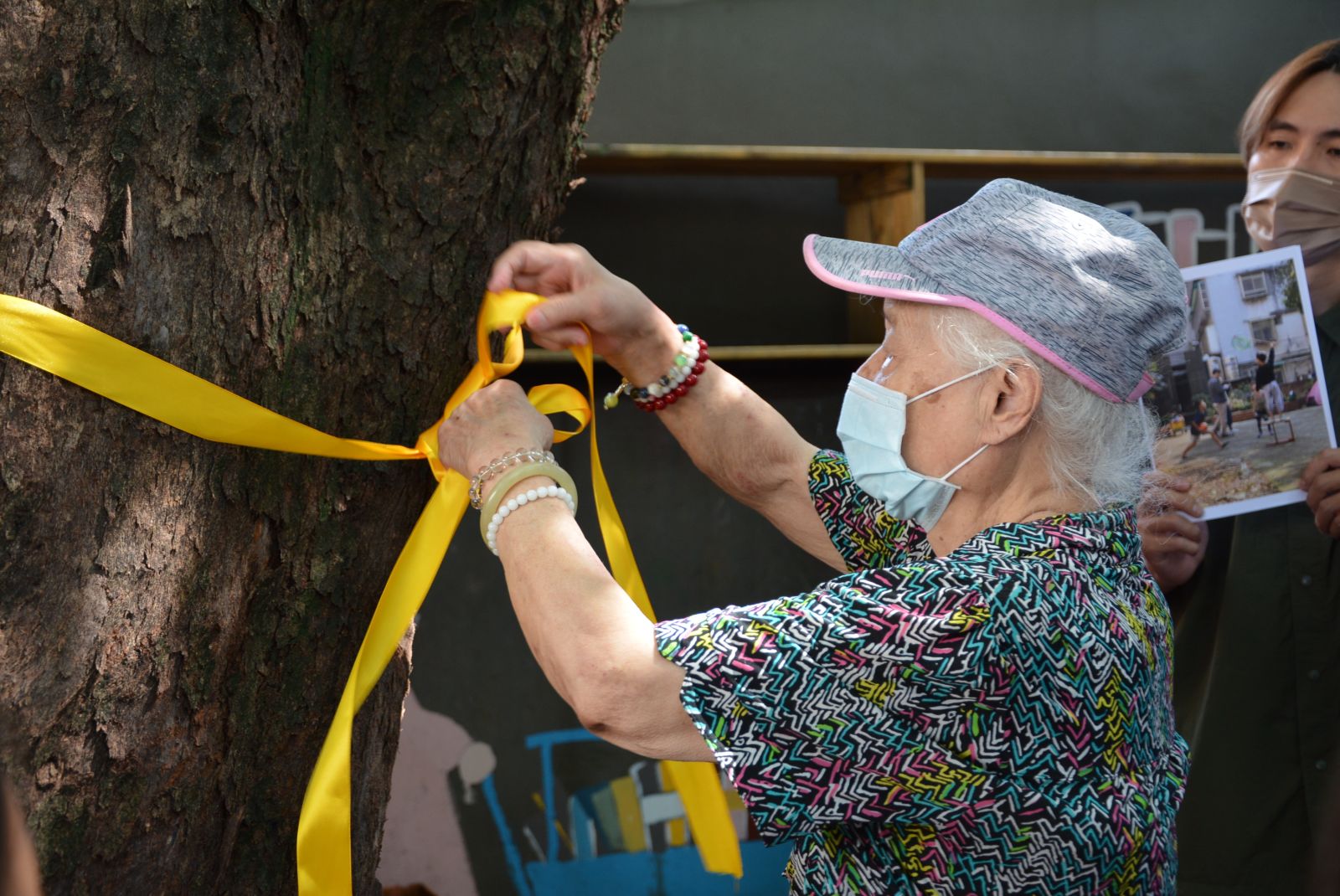 94歲的阿嬤為伴隨她長大的茄苳樹綁上黃絲帶，象徵守護老樹。楊政凱攝