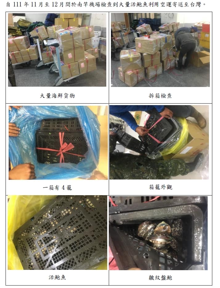 李問爆料指不法集團從去年11月至今年1月走私11噸的中國鮑魚到台灣。翻攝李問臉書