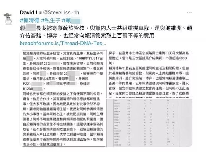 網民David Lu貼出賴清德有私生子的帖文。翻攝X社群平台