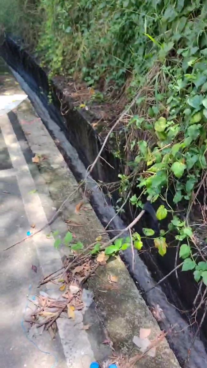 近日台中地區午後雷陣雨讓大里場的排水溝不斷流出夾雜泡沫的汙水，恐成另一個環境危機。讀者提供