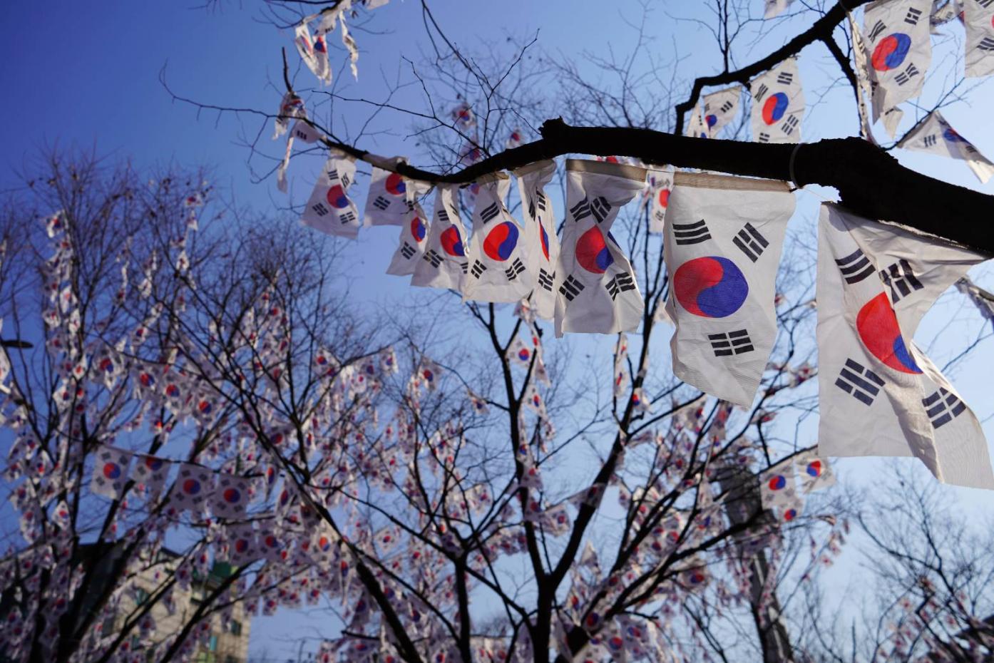 首爾市孝昌公園外的行道樹因三一節而掛滿太極旗。吳珮如攝