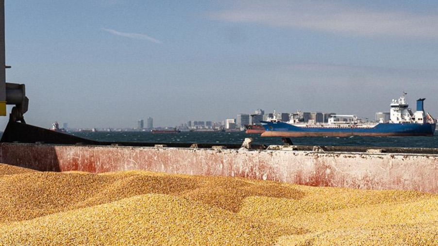俄羅斯退「黑海穀物協議」還不是最糟　專家：須關注是否把小麥出口武器化　　