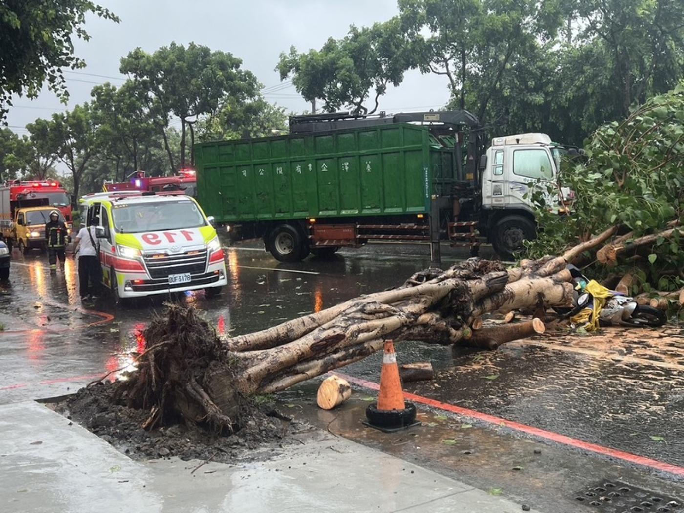 颱風凱米侵襲帶來強烈風雨，一名婦人24日中午騎車行經高雄鳳山區建國路一段時，遭倒塌路樹壓傷。消防局提供