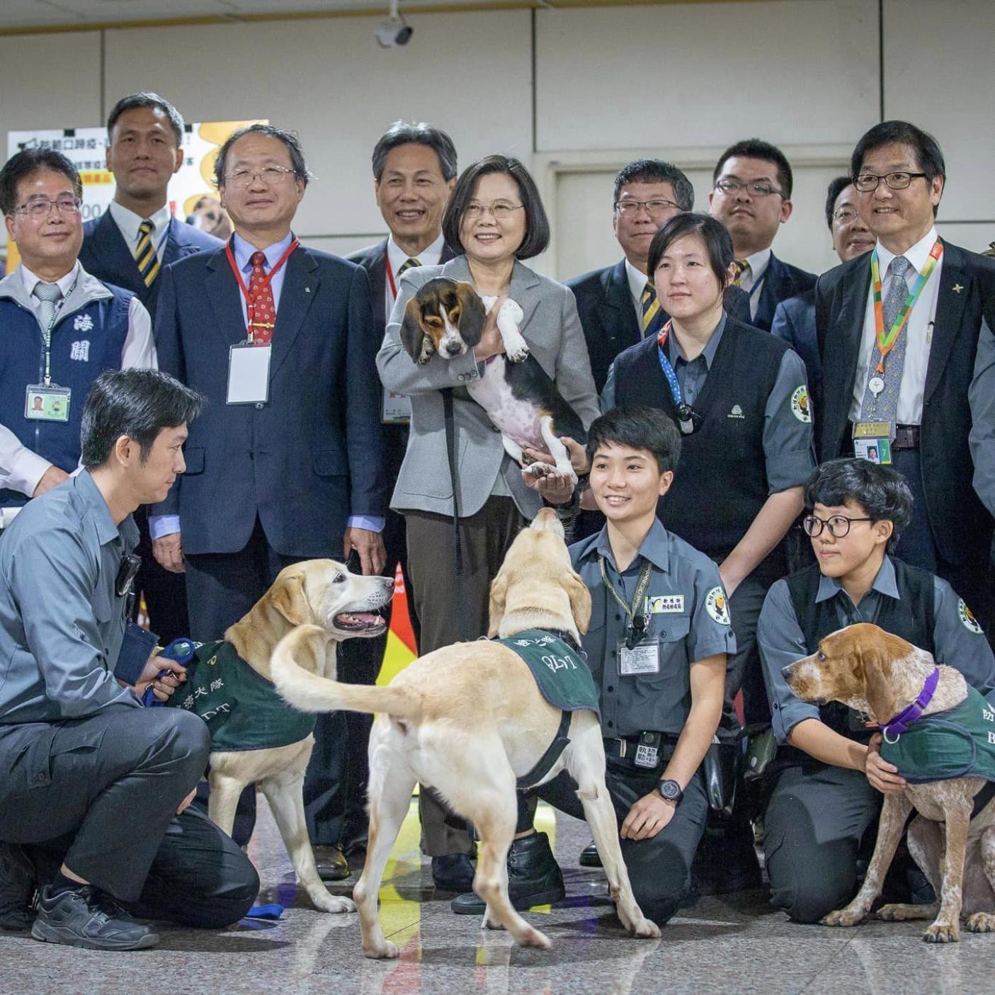 台灣成為東亞唯二「非洲豬瘟非疫國」，前總統蔡英文發文感謝國人。翻攝蔡英文臉書