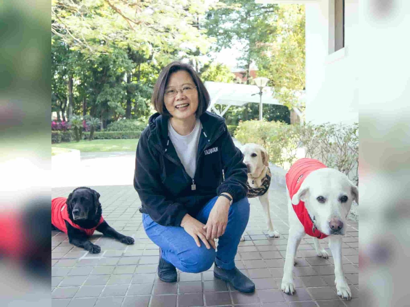 蔡英文1日晚間透過臉書表示，她領養的3隻退役導盲犬，都已當了天使。翻攝蔡英文臉書