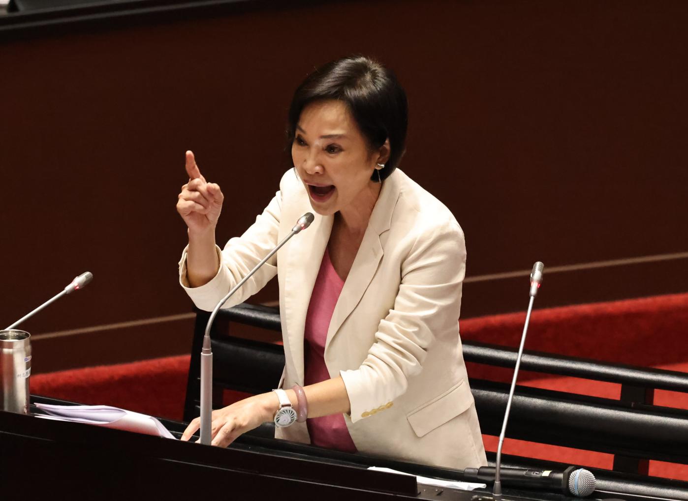 川普就職慶賀團成員新增擔任台美國會議員聯誼會會長的國民黨立委柯志恩（圖）以及民進黨立委郭昱晴。資料照片／林啟弘攝