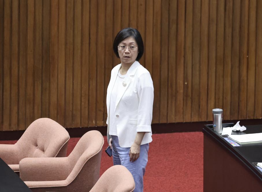 又失言了！翁曉玲稱「台灣大停電有利藍委」　綠委：難怪朱立倫要她靠邊站
