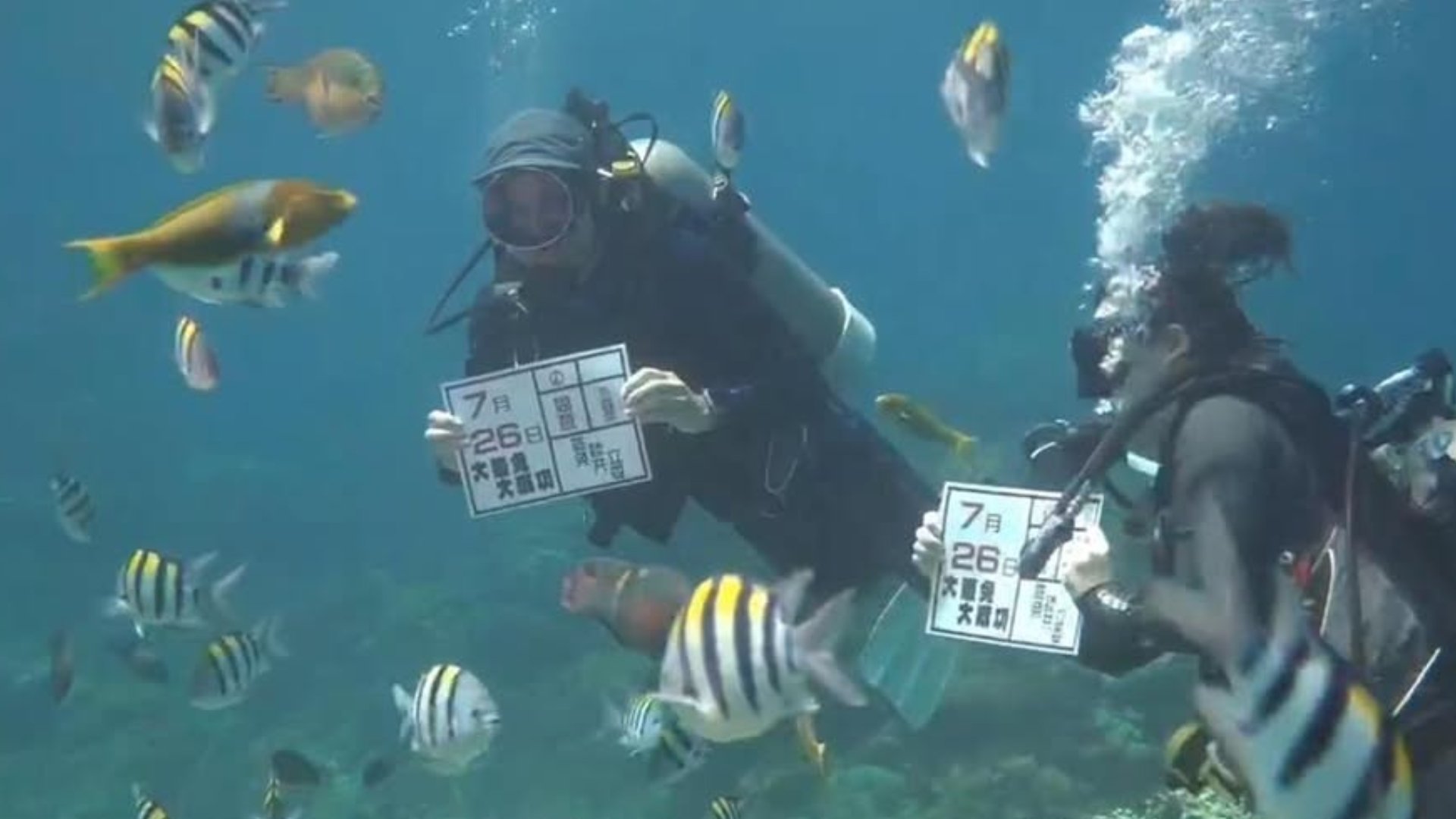 潛水客海底舉自製看板，宣傳投罷免同意票。翻攝畫面