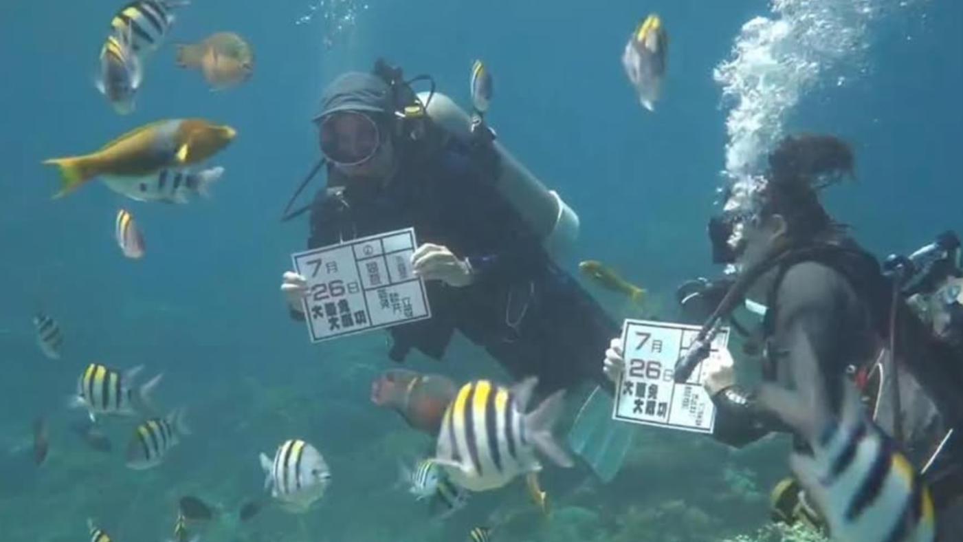 潛水客海底舉自製看板，宣傳投罷免同意票。翻攝畫面