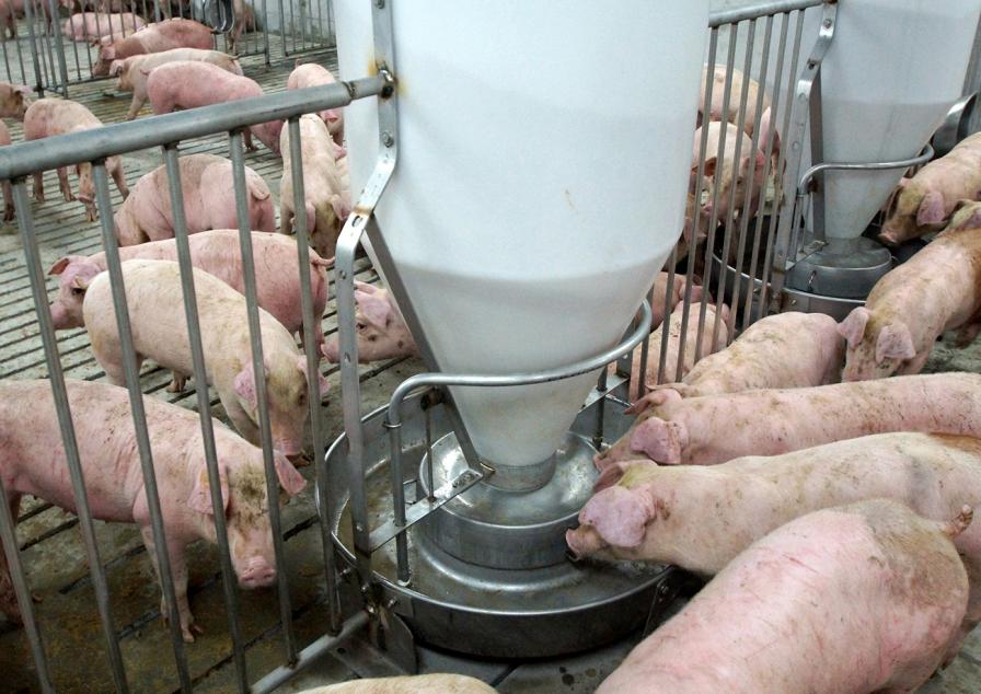 執政挑戰加一！宜蘭肉品市場周休4日　中秋節烤肉恐傷荷包