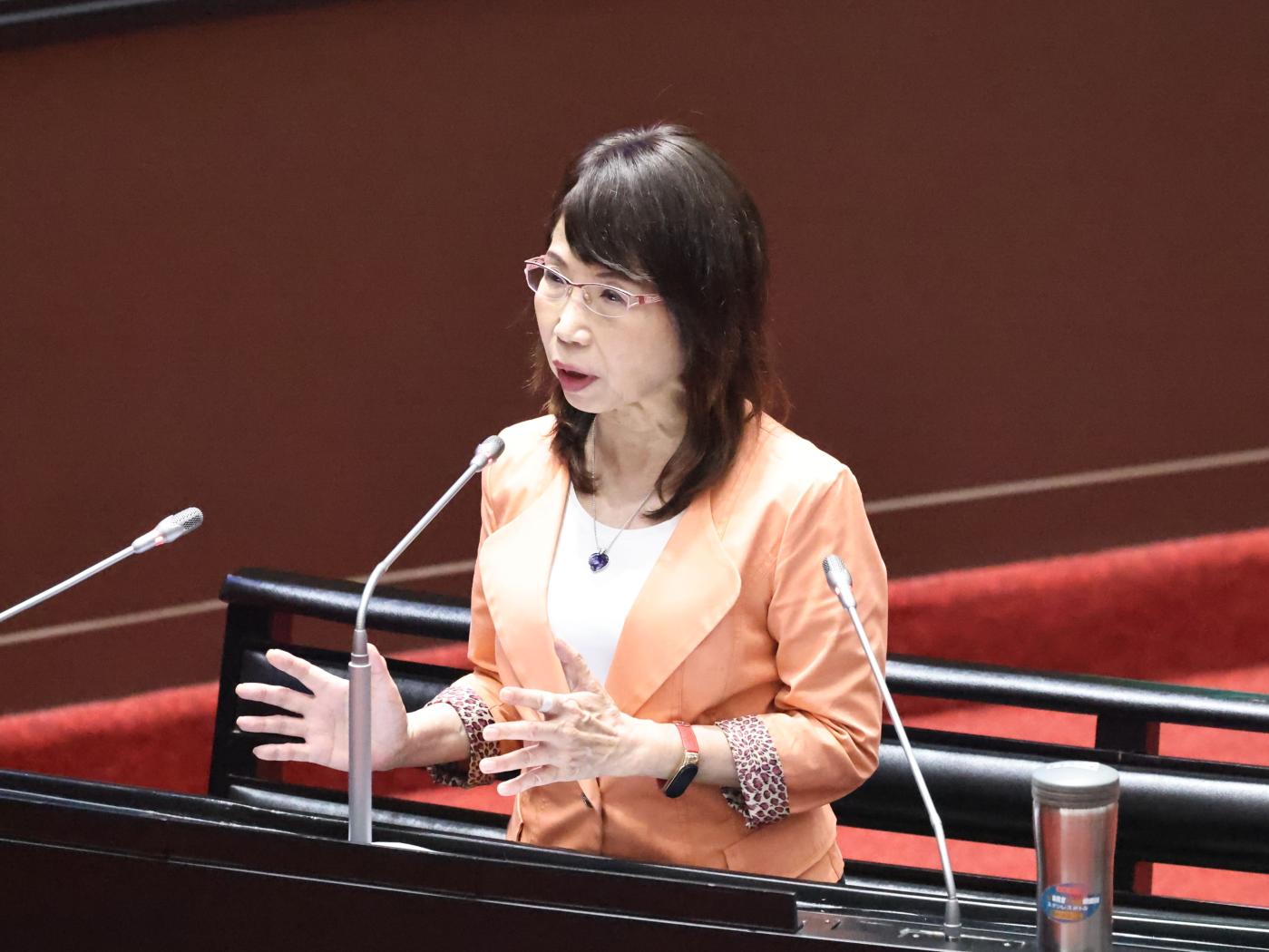 民眾黨立委陳昭姿支持代理孕母政策，她強調，代理孕母的核心價值在於「自主性」。資料照片／林啟弘攝