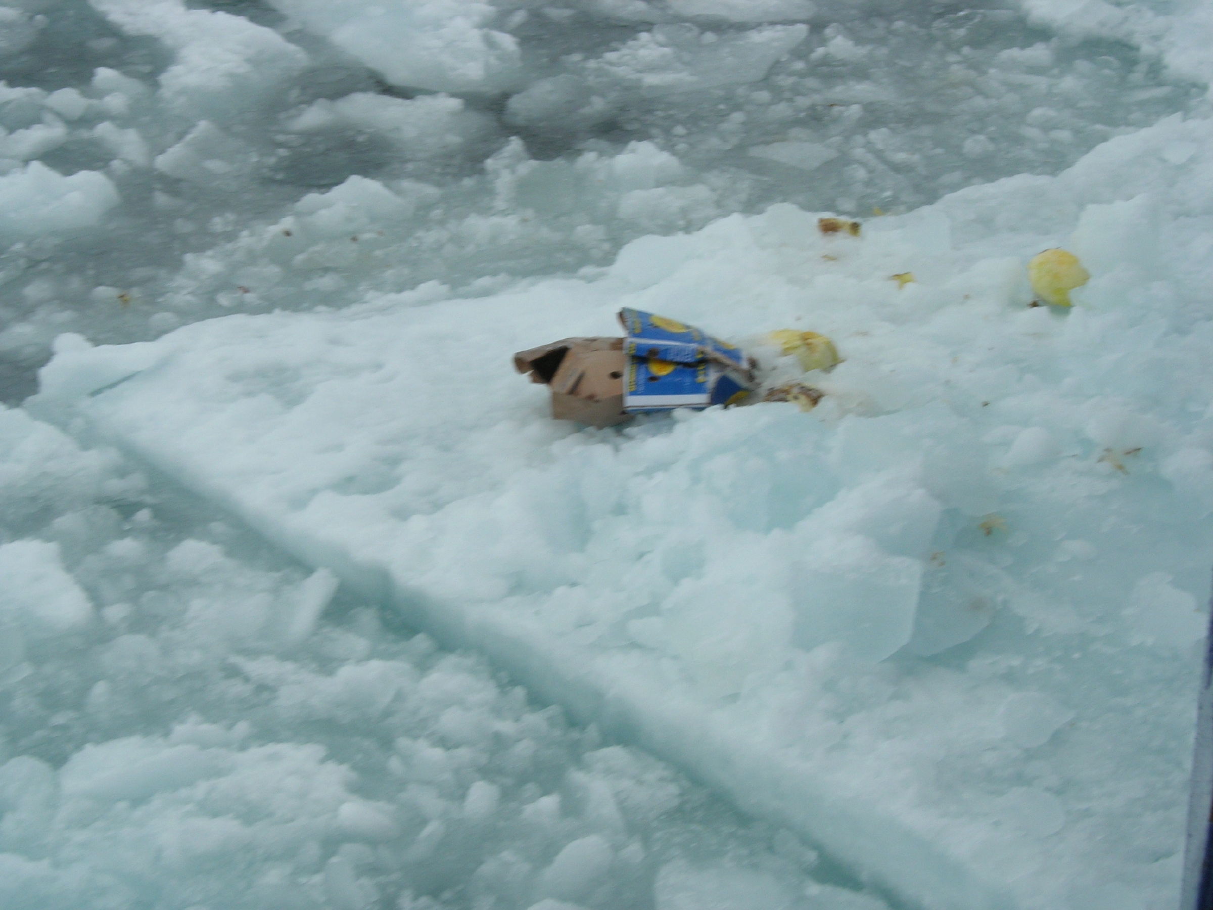 北極浮冰上的塑膠垃圾。翻攝阿佛烈韋格納極地與海洋研究所官網