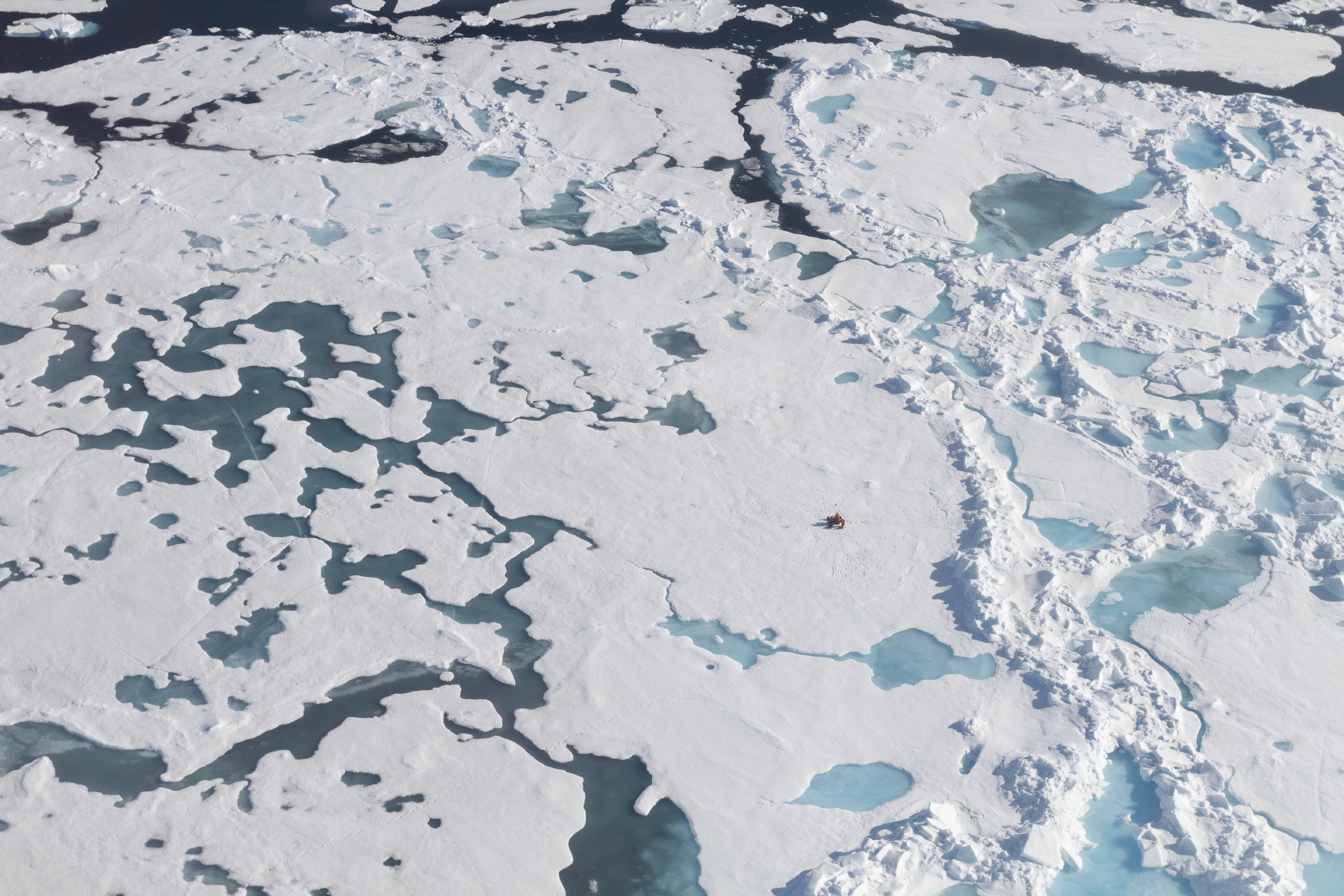 研究團隊在北極進行勘查。翻攝阿佛烈韋格納極地與海洋研究所官網